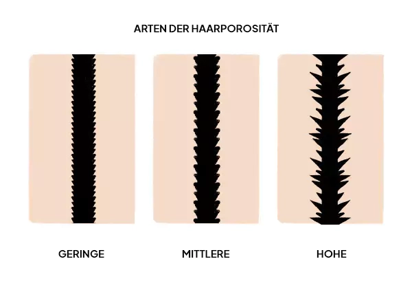 Arten von Porosität